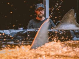 Kiah Roache-Turner Talks ‘Beast of War’ And Importance of Mark Coles Smith Casting